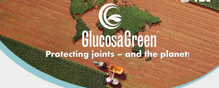 GlucosaGreen® A Sustainable Glucosamine Solution for Joint Health